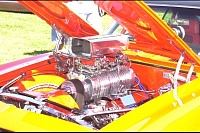 DSC_4796.jpg