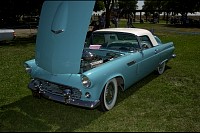 DSC_4802.jpg