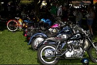 DSC_4806.jpg