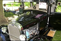 DSC_4813.jpg