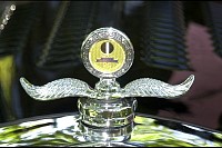 DSC_4814.jpg