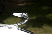 DSC_4822.jpg