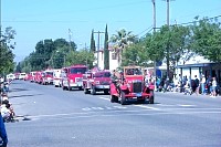 P0001686.JPG