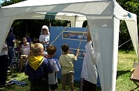 DSC_3131.jpg