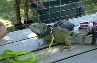 DSC_3135.jpg