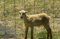 DSC_3137.jpg