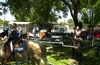 DSC_3152.jpg
