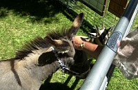 DSC_3175.jpg