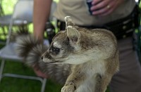 DSC_3221.jpg