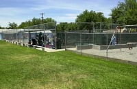DSC_7772.jpg