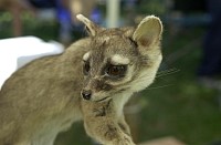 DSC_7783.jpg