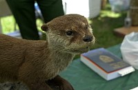 DSC_7784.jpg