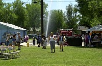 DSC_7794.jpg