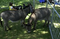 DSC_7805.jpg