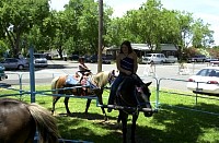 DSC_7816.jpg