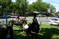 DSC_7817.jpg