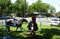 DSC_7818.jpg