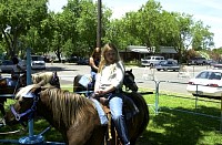 DSC_7820.jpg