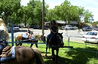 DSC_7821.jpg