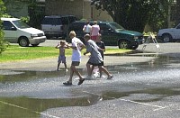 DSC_7835.jpg