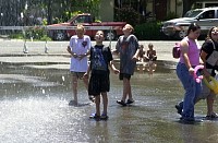 DSC_7848.jpg
