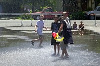 DSC_7851.jpg