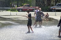DSC_7853.jpg