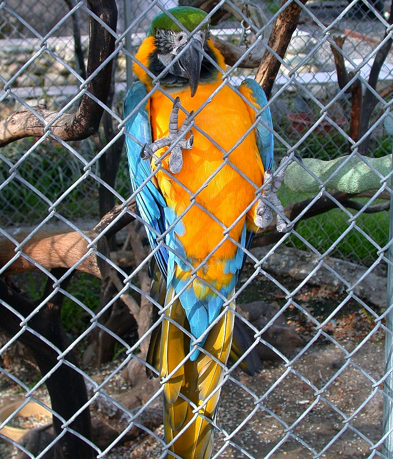 slideshow image