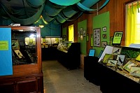 DSC_8790.jpg