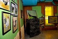 DSC_8793.jpg