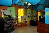 DSC_8795.jpg