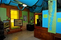 DSC_8796.jpg