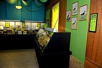 DSC_8798.jpg