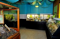 DSC_8799.jpg