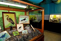 DSC_8800.jpg