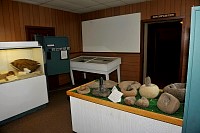 DSC_8856.jpg