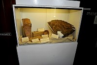 DSC_8859.jpg