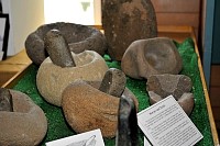 DSC_8866.jpg