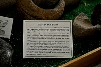 DSC_8877.jpg