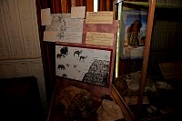DSC_8888.jpg