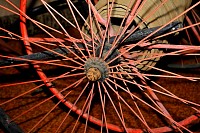 DSC_8921.jpg
