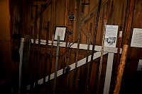 DSC_8963.jpg